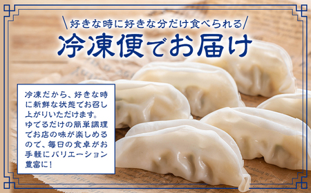 神石高原水餃子 1袋20個入り NPO法人nina神石高原《60日以内に出荷予定(土日祝除く) 》広島県 神石高原町 餃子 中華 肉 野菜 送料無料