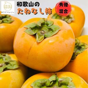 【先行予約】【2026年10月発送】柿【ご家庭用】和歌山のたねなし柿　秀優混合　約2kg【AA-ard254】