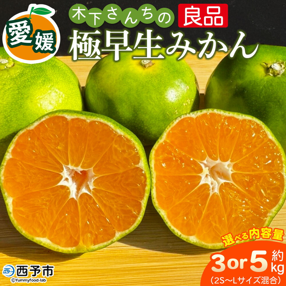 【ふるさと納税】＜木下さんちの極早生みかん 良品 約3kg／5kg（2S～Lサイズ混合）＞『2026年10月に順次出荷予定』選べる 内容量 柑橘類 ごくわせ 早生ミカン 蜜柑 果物 くだもの フルーツ 甘酸っぱい あまずっぱい 国産 キロ 特産品 木下農園 西宇和 愛媛県 西予市【常温】