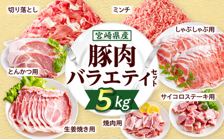宮崎県産豚肉バラエティセット5kg 切り落とし ミンチ ロース
