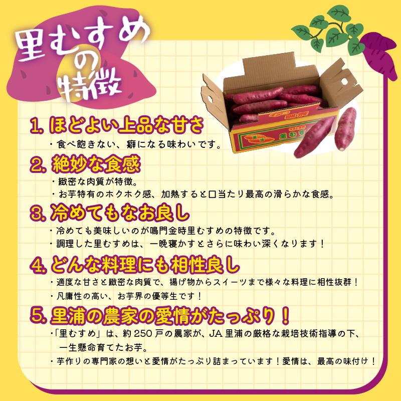 さつまいも 鳴門金時 5kg 2025年12月発送 なると金時 Mサイズ 里むすめ 芋 野菜 スイーツ スイート チップス 棒 箱 詰め 紅 甘い お菓子 金時 大学 種類 生 調理 干し芋 焼き芋 