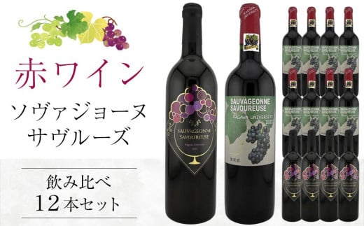 ソヴァジョーヌ・サヴルーズ 3年代分 飲み比べ計12本セット【国産 赤ワイン ワイン さぬきワイン ぶどう 飲み比べ 】