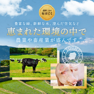 焼肉野村屋の牛もつ煮 | 栃木県 下野市