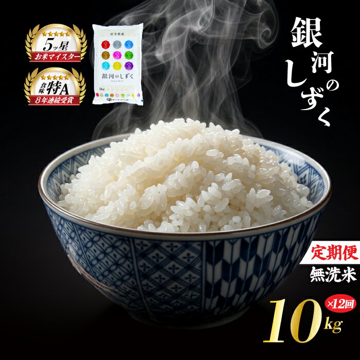 【ふるさと納税】 銀河のしずく 無洗米 10kg 5kg×2袋 米 定期便 12回 12ヶ月 連続 お届け 盛岡市産 いわて米 ブランド米 精米 白米 米 お米 こめ コメ ライス ご飯 ごはん 美味しい おすすめ贈り物 ぎんがのしずく 国産 産地直送 盛岡 佐々木米穀店