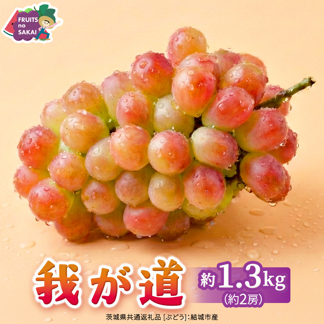 我が道 約1.3kg （約2房）【2026年8月より発送開始】（茨城県共通返礼品 [ぶどう]：結城市産） ぶどう ブドウ 葡萄 我が道 黒ぶどう 皮ごと 高級 国産 ふるさと納税 [FC19-NT]