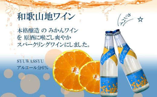 有田みかんスパークリングワイン6本セット（A1062-1）