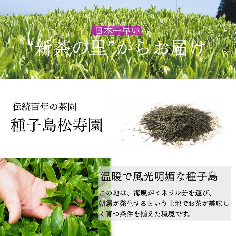 希少種 「松寿」 と 「 たねがしま茶 」 セット    NFN034 【425pt】// 伝統百年の茶園 厳選 ブレンド 希少種 グランプリ受賞 新茶 ギフト