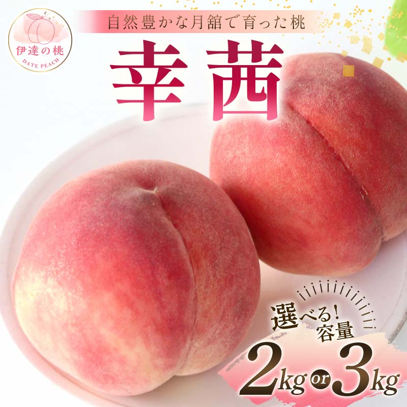 【ふるさと納税】≪2025年出荷分≫ 先行予約 自然豊かな月舘で育った桃 幸茜 《容量が選べる》 約2kg or 約3kg 桃 もも モモ 果物 くだもの フルーツ 名産品 国産 食品 F21C-060var