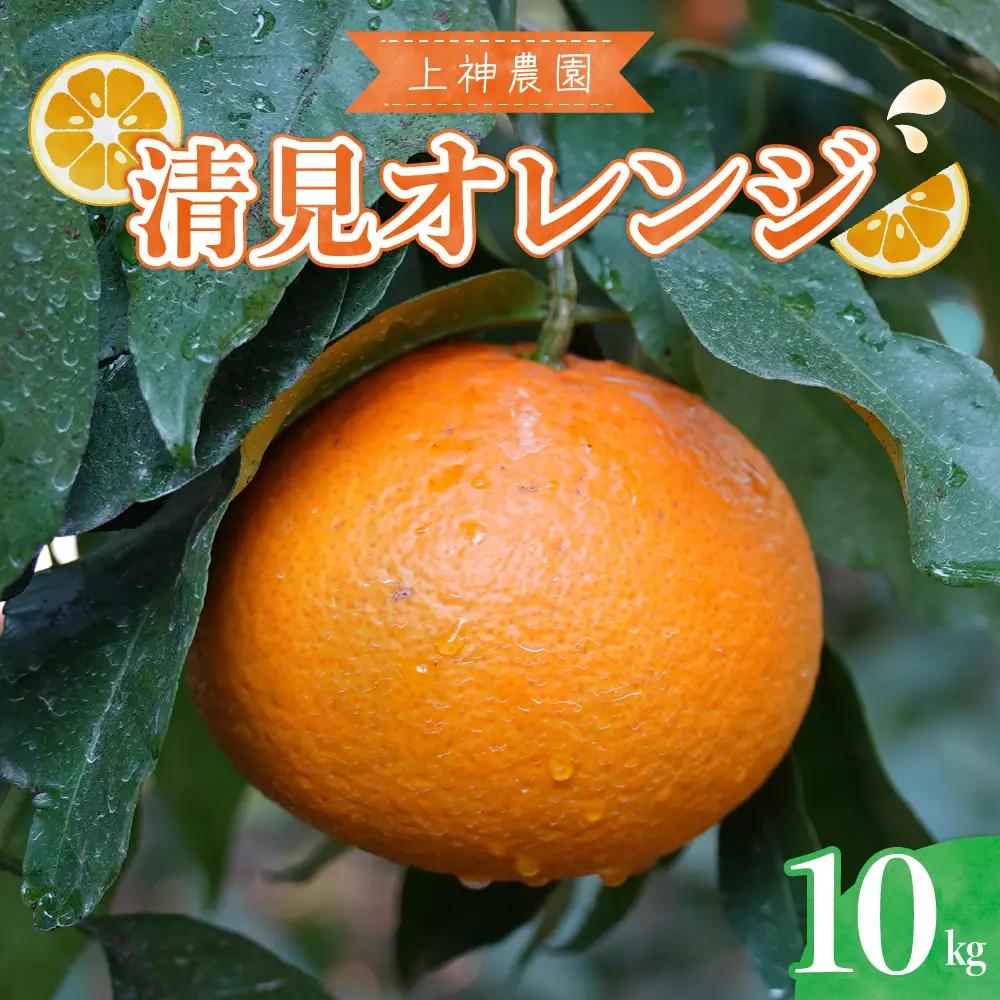 先行受付 2027年3月上旬～発送 の清見オレンジ 約10kg 柑橘