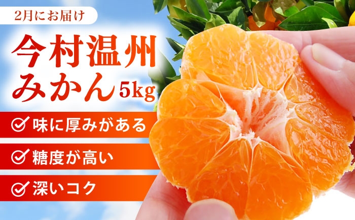 【全2回定期便】旬のフルーツ定期便（みかん・いちご） 果物 くだもの フルーツ いちご 苺 イチゴ みかん ミカン 定期 贈答