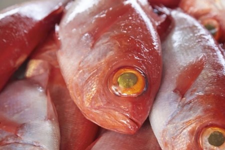 稲取 キンメ 姿煮 1164 ／ 山田屋海産 郷土料理 伝統の味付 金目鯛 静岡県 東伊豆町