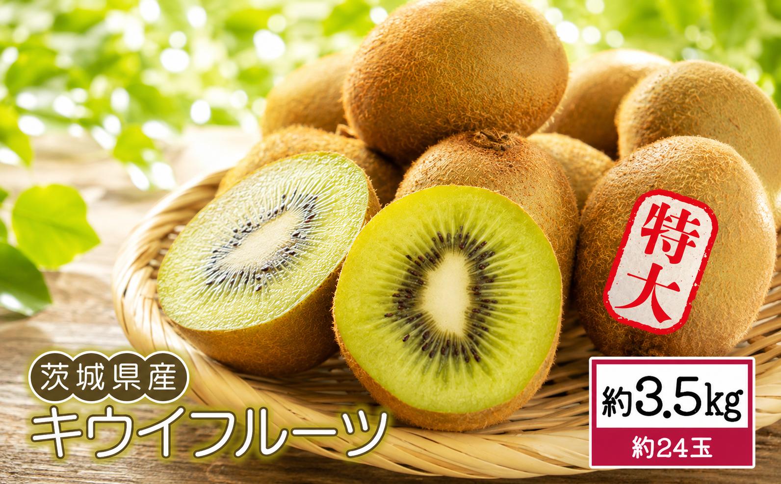 
                  【先行予約】 キウイフルーツ 特大 約 3.5kg  |  キウイ きうい 大玉 果物 くだもの 甘い フルーツ 旬のフルーツ デザート スイーツ fruit 果実 果肉 2026年産 産地直送 数量限定 茨城県産 関東 茨城 筑西
                