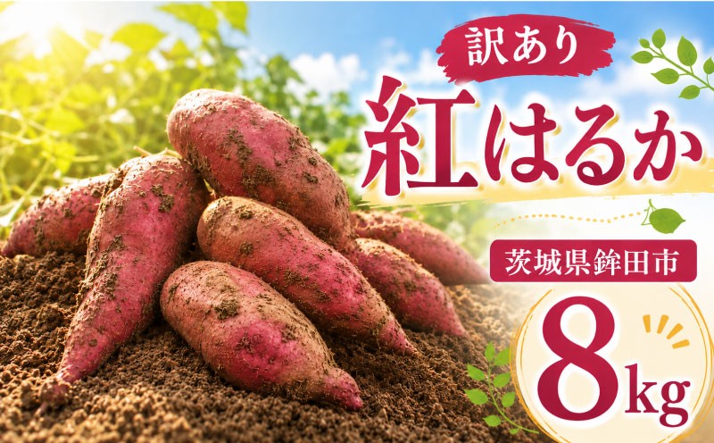 
                  さつまいも 紅はるか 約 8kg 訳あり サツマイモ さつま芋 甘藷 生芋 いも 芋 イモ 焼き芋 やきいも 不揃い 規格外 野菜 おやつ 旬 農家直送 茨城県 鉾田市 大洋まいたけセンター
                