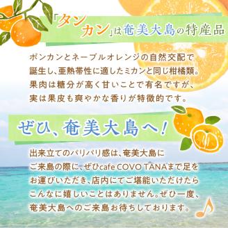 奄美産タンカンのクレームブリュレ（6個入り）