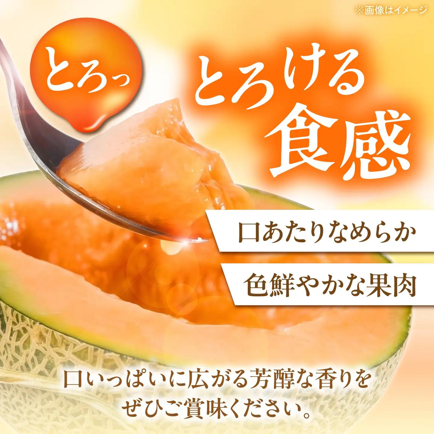 【先行予約】メロン キングルビー 2玉（2.4kg以上/玉） メロン AJAY003