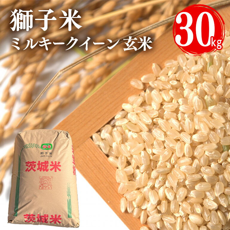 【ふるさと納税】 先行予約【令和8年産】獅子米 ミルキークイーン（玄米）30kg お米 ご飯 米 産地直送 茨城県 石岡市 B02-092