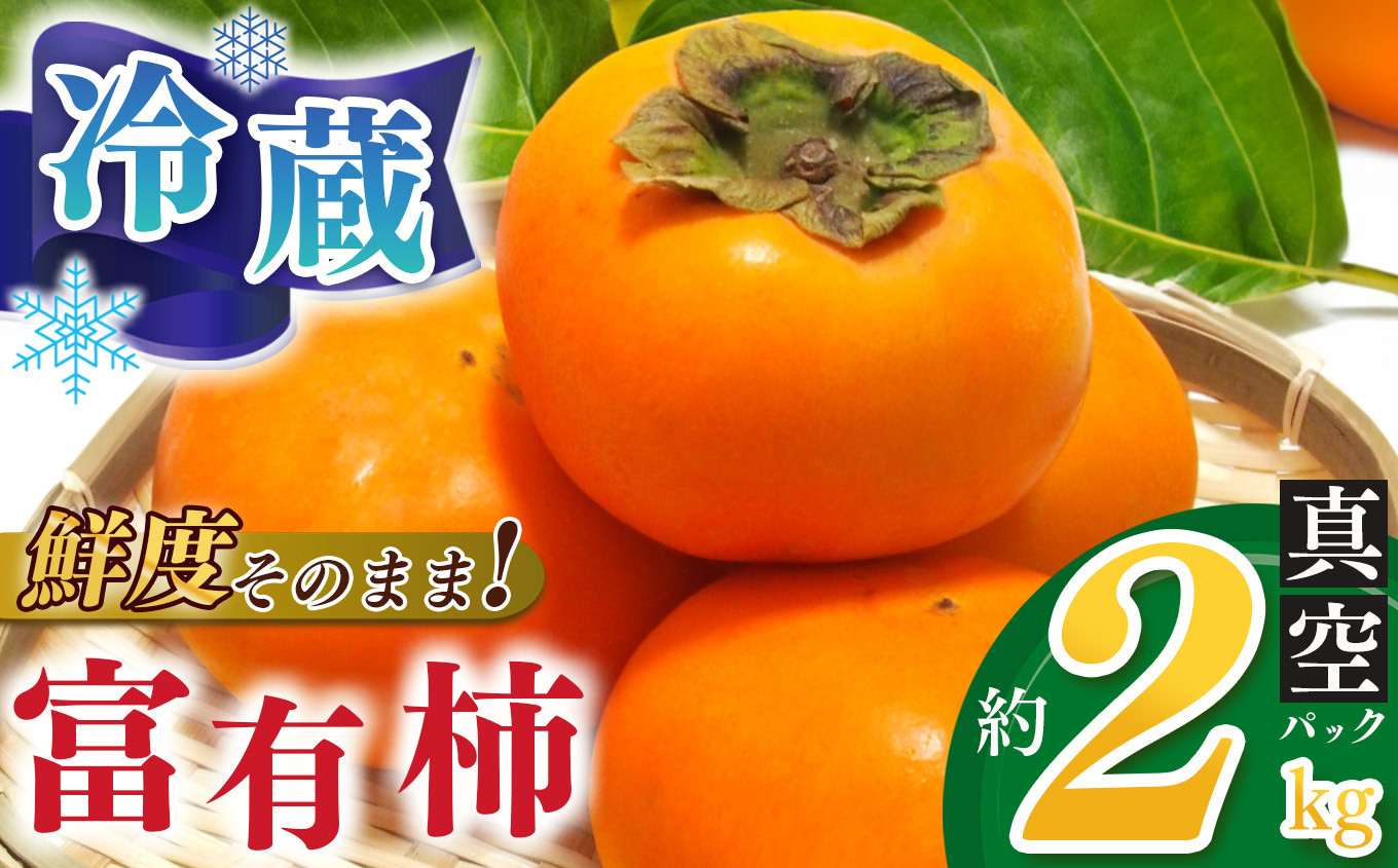 
            冷蔵富有柿 約2kg | フルーツ くだもの 果物 柿 かき カキ  奈良県 五條市 家庭用 富有柿 ふゆうがき フユウガキ 自宅用 どっさり たっぷり 産地直送 青果 国産 人気 送料無料 甘い 贈答 ギフト プレゼント 期間限定 納税 グルメ お取り寄せ
          