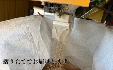 【定期便】令和7年産 コシヒカリ 精米10kg×6ヶ月（毎月） お米 白米 こしひかり｜石川県 小松市【元田農産】