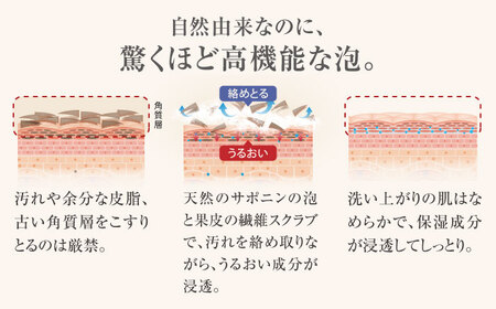 椿酵母せっけん 60g・12個セット 五島市/五島の椿 [PEG018]