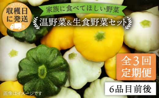 【 全3回 定期便 】 朝採れ 温野菜＆生食野菜セット （ 6品 前後 ） 《糸島》【オーガニックナガミツファーム】 [AGE019]