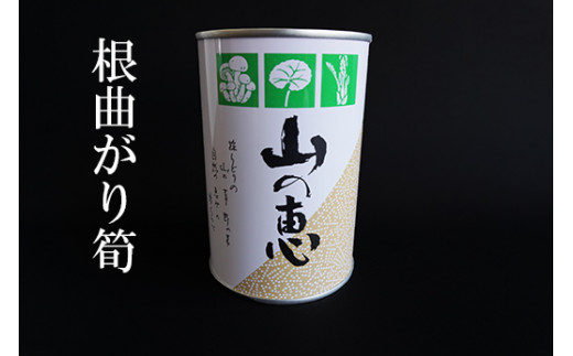 
                  No.0550たけのこ 缶詰（根曲り筍）3缶セット
                