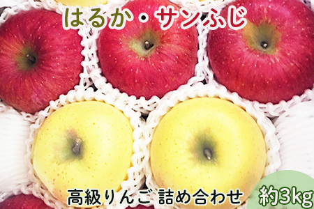 【贈答用】高級りんごはるか・サンふじ詰合せ！花巻産約3kg 【1246】