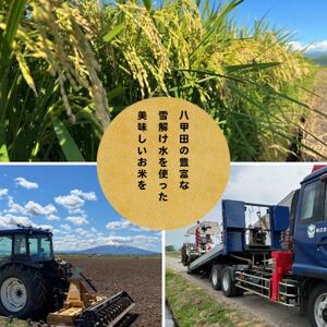 【先行予約受付】令和8年　青森県産はれわたり　玄米10kg　彩北米【配送不可地域：離島・沖縄県】【1714458】