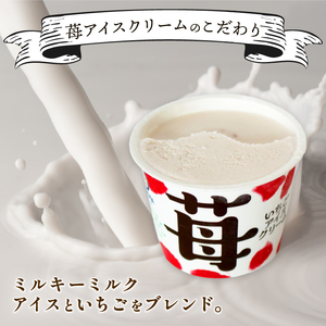 苺アイスクリーム110ml✕12個 | アイス 久保田アイス 人気アイス 厳選アイス アイスセット