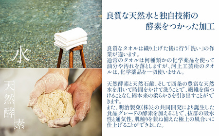 「地域の自然を染めるタオル」 フェイスタオル・タオルハンカチ 各2枚セット（ライトグレー／あたご柿）　天然加工 草木染 西条市 河上工芸所
