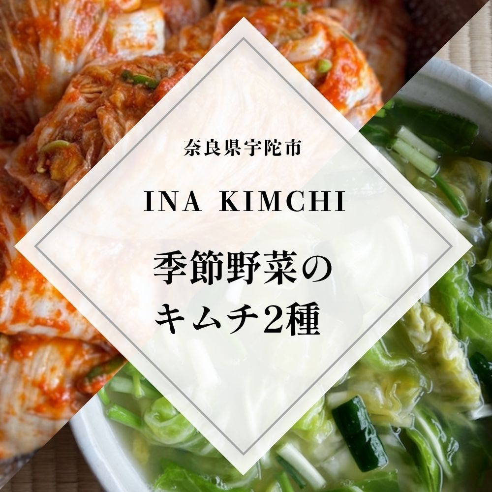 【ふるさと納税】季節野菜のキムチ500g×2種類／ キムチ ふるさと 白菜 キャベツ 大根 赤キムチ 白キムチ 料理 グルメ INA Lab INA KIMCHI 取り寄せ 室生 奈良県 宇陀市