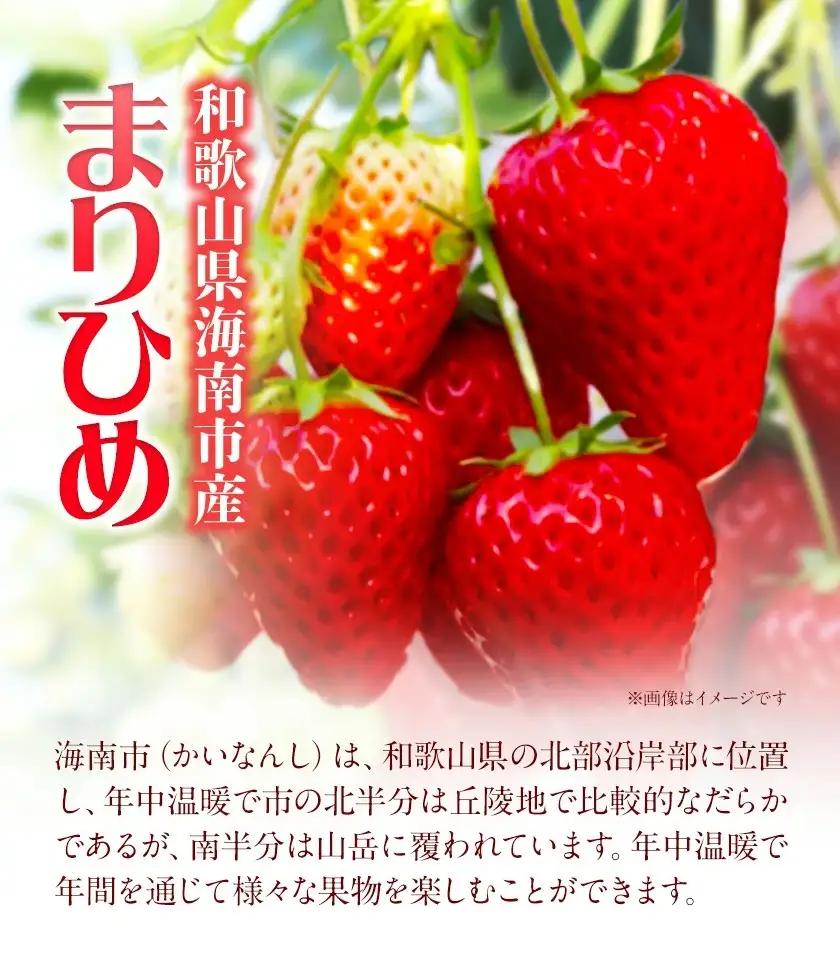 いちご まりひめ 約300g×2パック【配送不可地域あり】いちご