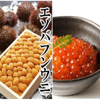 ふるさと納税 根室市 エゾバフンウニバラ詰め1折、いくら醤油漬け(鱒卵)1P[11月下旬以降発送] E-40022
