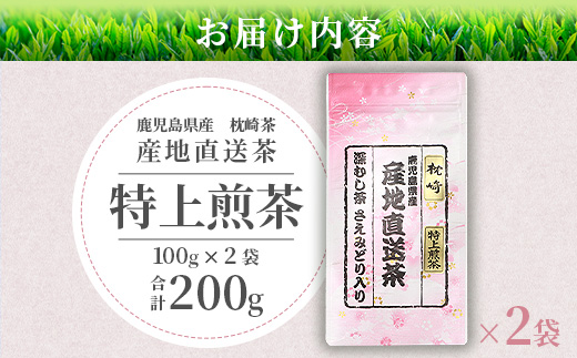 一番茶のみ使用!!【 特上煎茶 】  ( 100g×2本 )  枕崎産 大河内製茶 A3−218【1167083】