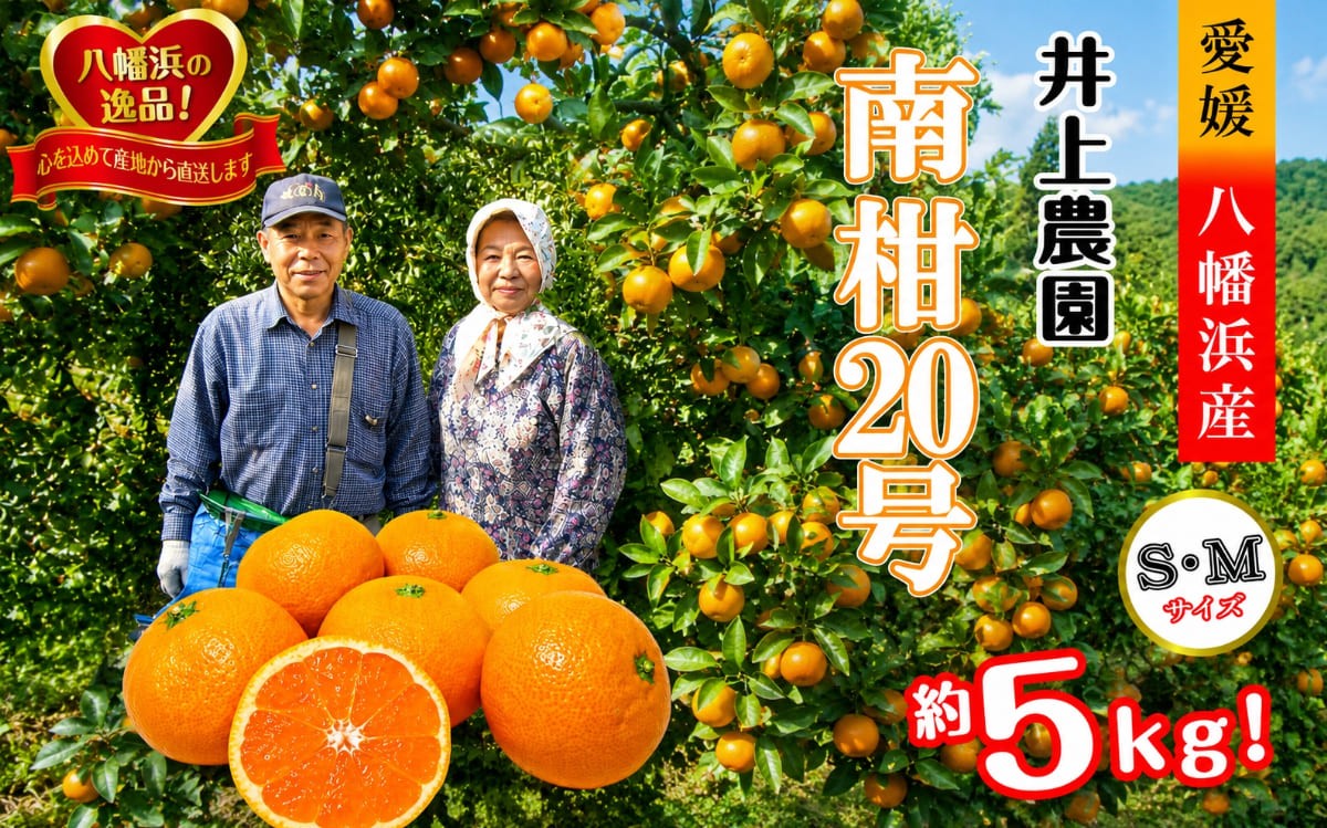 
                  M、Sサイズでお届け・濃厚な味わい! 井上農園「南柑20号」約5kg ＜C39-12＞【1245424】 YWTF005
                