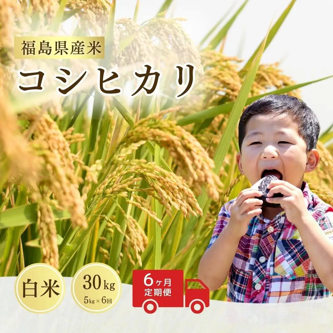 【定期便】コシヒカリ 白米 30キロ (5kg×6回) 令和8年産 | コシヒカリ サムランド
