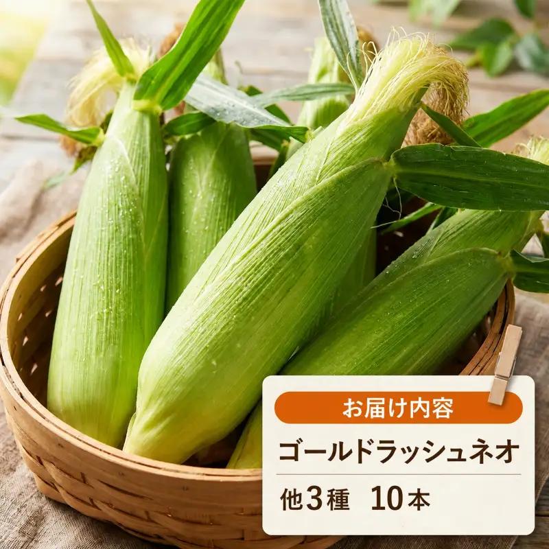 【先行予約】 (2026年11月~順次発送) 【とうもろこし】 イエロー種 10本 高知県産 とうもろこし