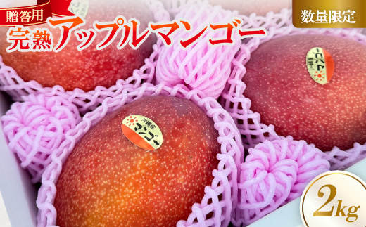【2025年6月～7月頃の発送】贈答用のアップルマンゴー2kg【配送不可地域：離島】