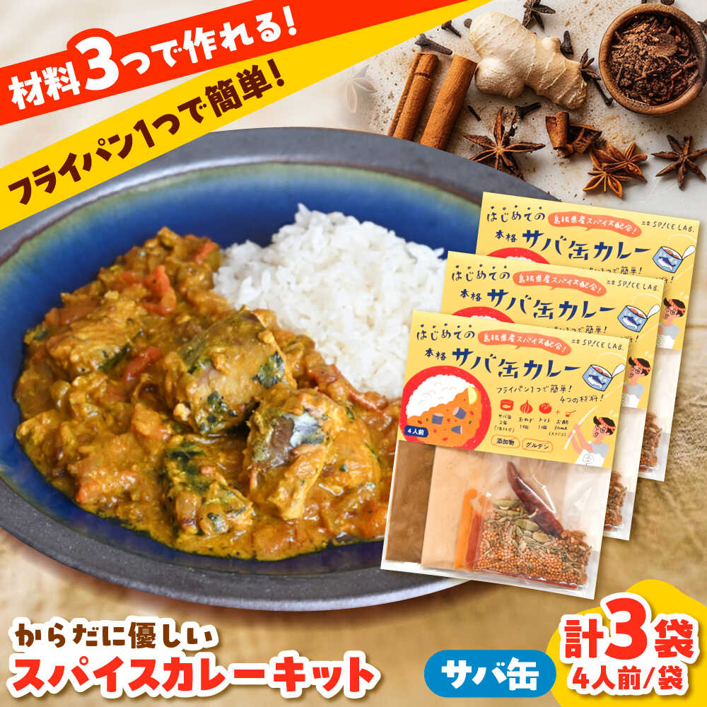 【ふるさと納税】【年内発送】サバ缶カレーキット（4人分）3セット 本格 無添加 カレースパイス　サバ缶 さば カレーキット 美味しい カレー12人分 島根県雲南市/出雲SPICE LAB.[AIAD008]