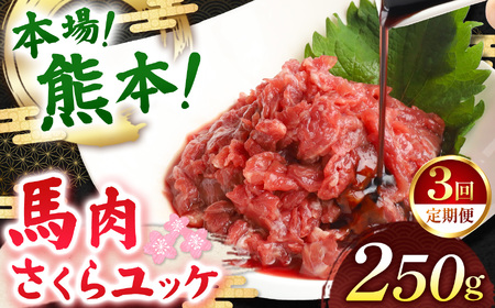 【定期便 3回】馬肉さくらユッケ 250g ( 50g × 5 ) | お肉 馬肉 ゆっけ 定期 定期便 熊本県 玉名市