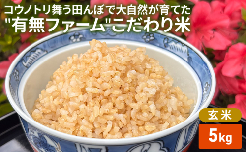 米 コウノトリ舞う田んぼで大自然が育てた有無ファームこだわり米 玄米 5kg お米 栽培期間中農薬・化学肥料不使用