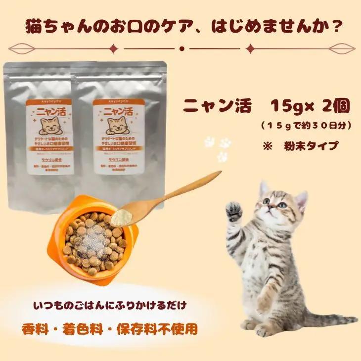 ニャン活　15g×2個