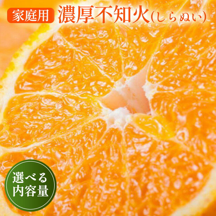 【ふるさと納税】【先行予約】＼選べる内容量／有田育ちの濃厚 不知火 (デコポン と同品種)(訳あり 家庭用)◇ ※2026年1月下旬～3月下旬頃に順次発送予定 ※北海道・沖縄・離島への配送不可