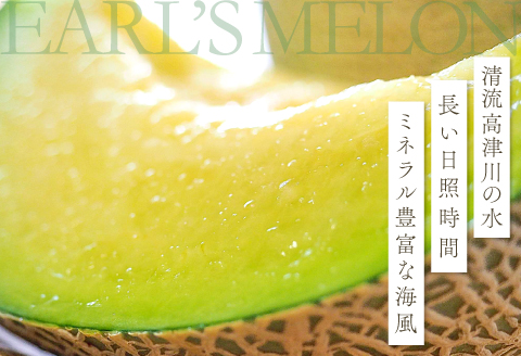 B-929 益田産アールスメロン 秋作 3～5玉