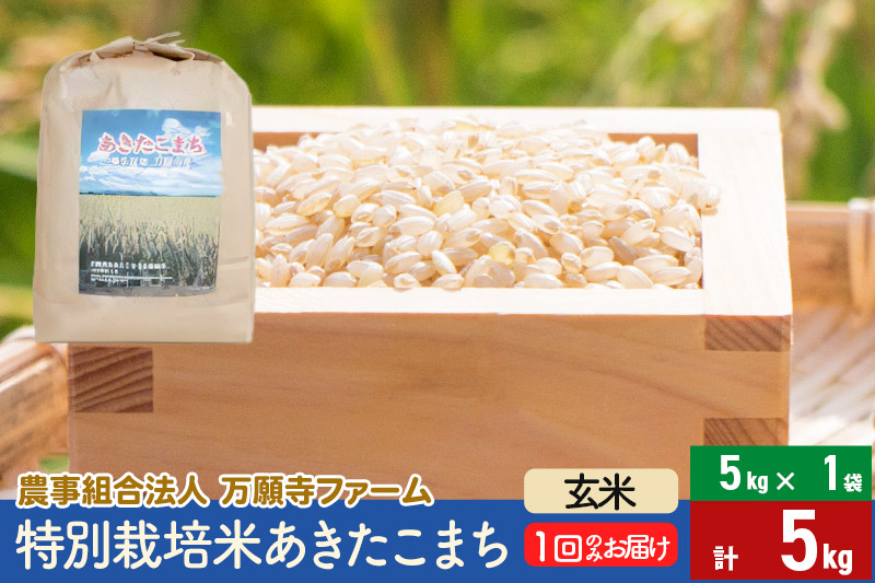 
            【玄米】令和6年産 特別栽培米あきたこまち 5kg（5kg×1袋）
          