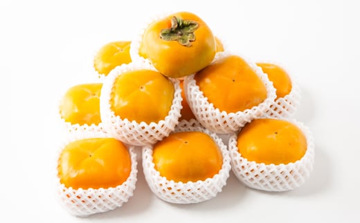 この和歌山県で祖父の代より50年以上、柿だけを専門に作ってきました。