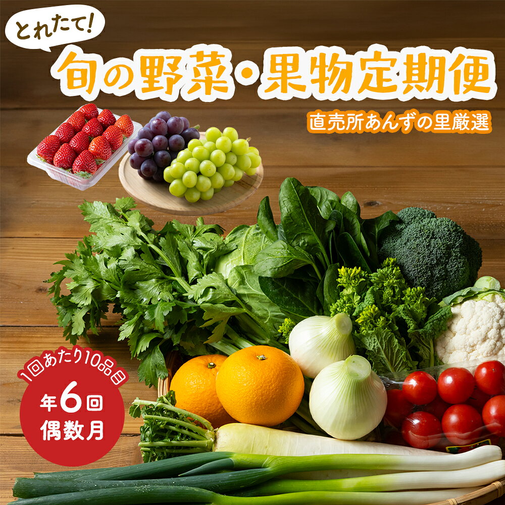 【ふるさと納税】【年6回偶数月定期便】穫れたて! 旬の野菜・果物 定期便 冷蔵 あんずの里 10品目×6回 産地直送 野菜 果物 フルーツ 旬 セット 詰め合わせ 福岡県産 九州産 国産 福津市 送料無料 [Z7011]