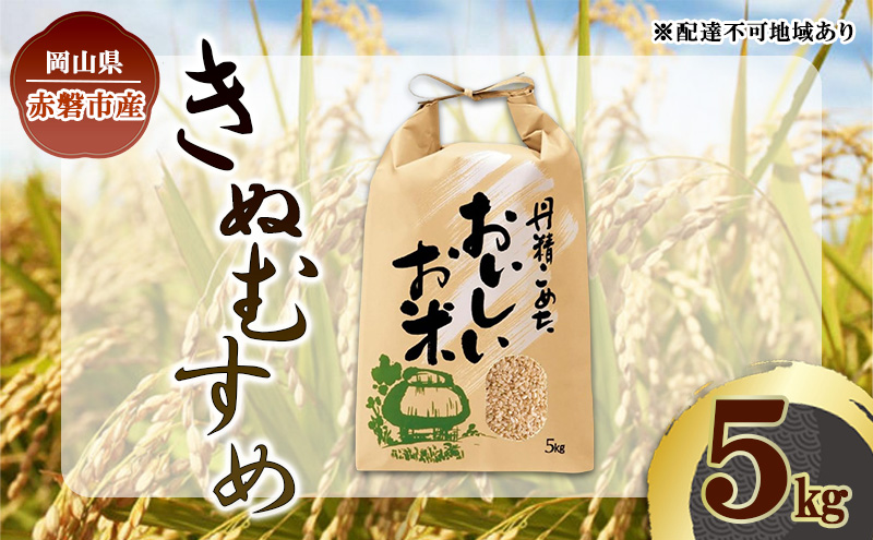 令和7年 きぬむすめ 玄米 5kg 晴れの国 岡山県産 米 お米 コメ おこめ 岡山 赤磐市