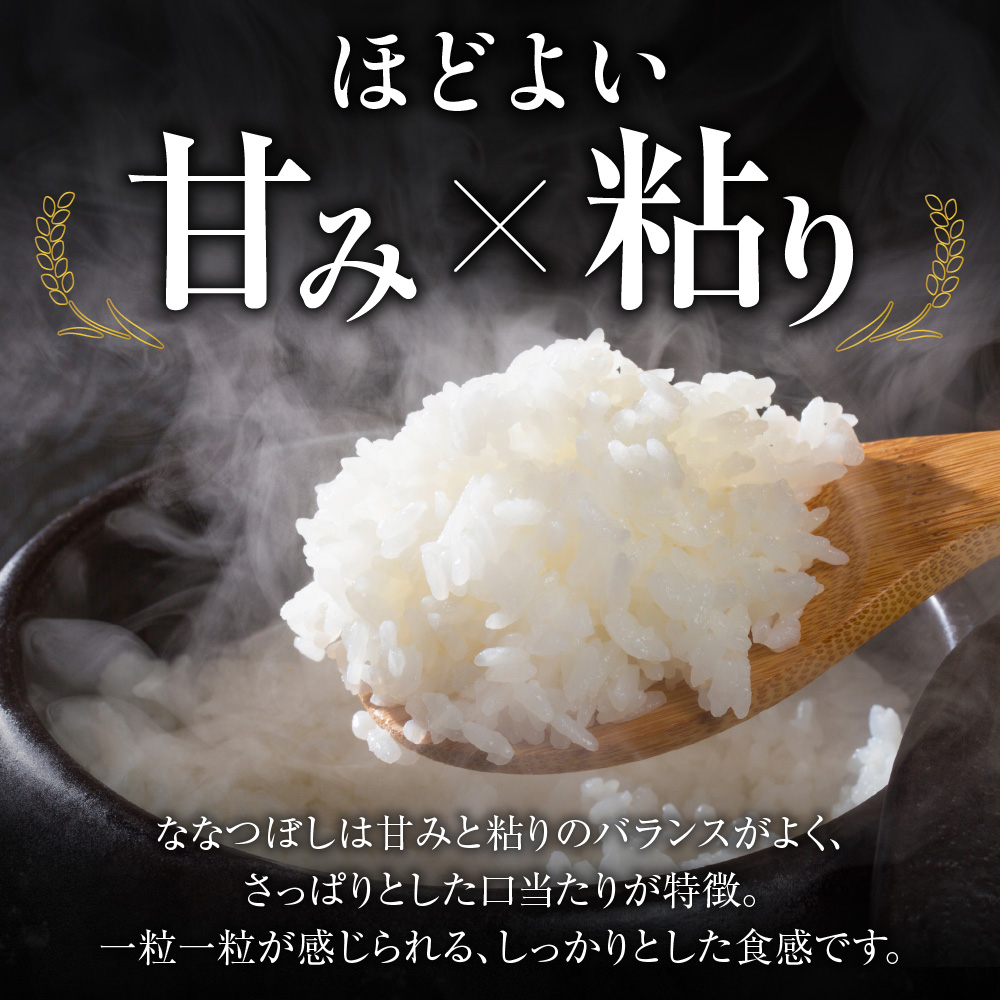 【定期便3回】地物市場とれのさと  ななつぼし無洗米 5kg×3回