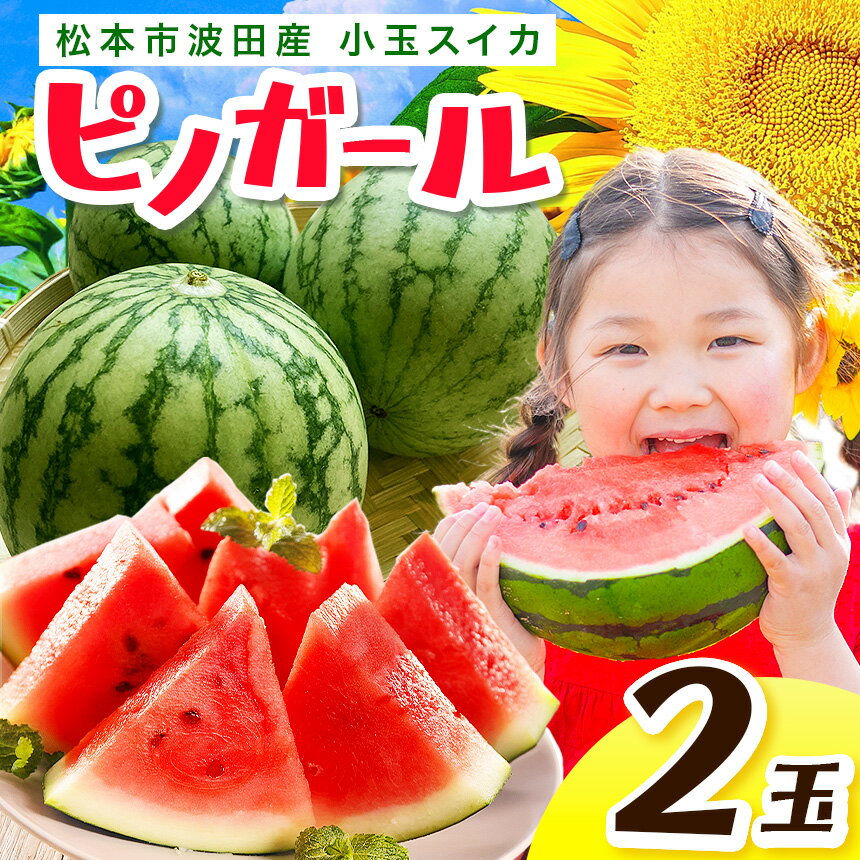 【ふるさと納税】【信州育ちの甘い宝石】松本市波田産 小玉スイカ ピノガール 2玉セット（1玉1.6～2.3kg） |ふるさと納税 果物 スイカ すいか 西瓜 甘い 小玉スイカ ピノガール セット 信州 フルーツ 贈答 美味しい 特別 長野県 松本市 信州