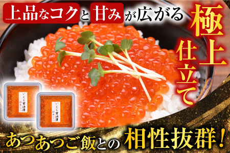 【北海道根室産】時しらず鮭600g×1P・いくら醤油漬け50g×3P C-42094